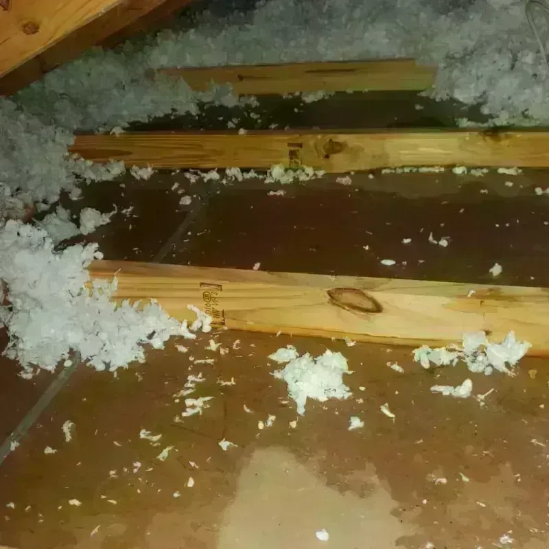 Attic Water Damage in Montcalm County, MI